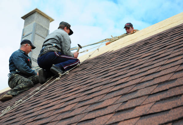 Best Metal Roofing Contractor  in Nashville, NC